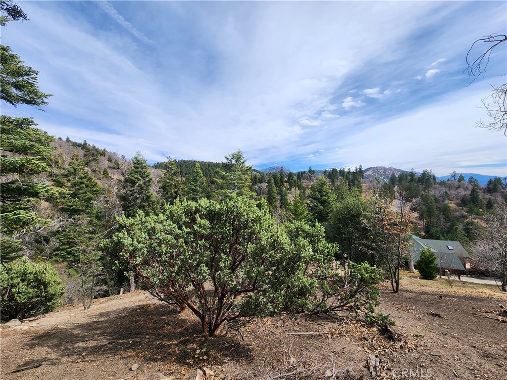 30914 Old City Creek Road Property Photo 9