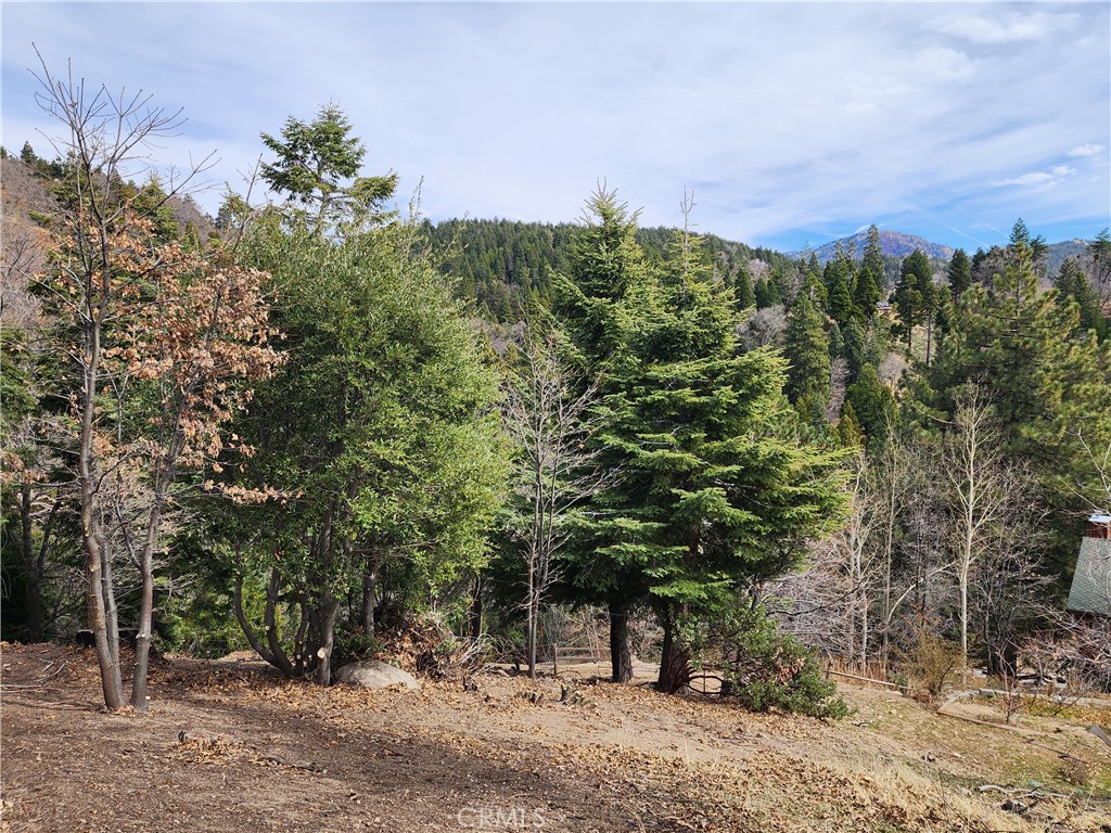 30914 Old City Creek Road Property Photo 11