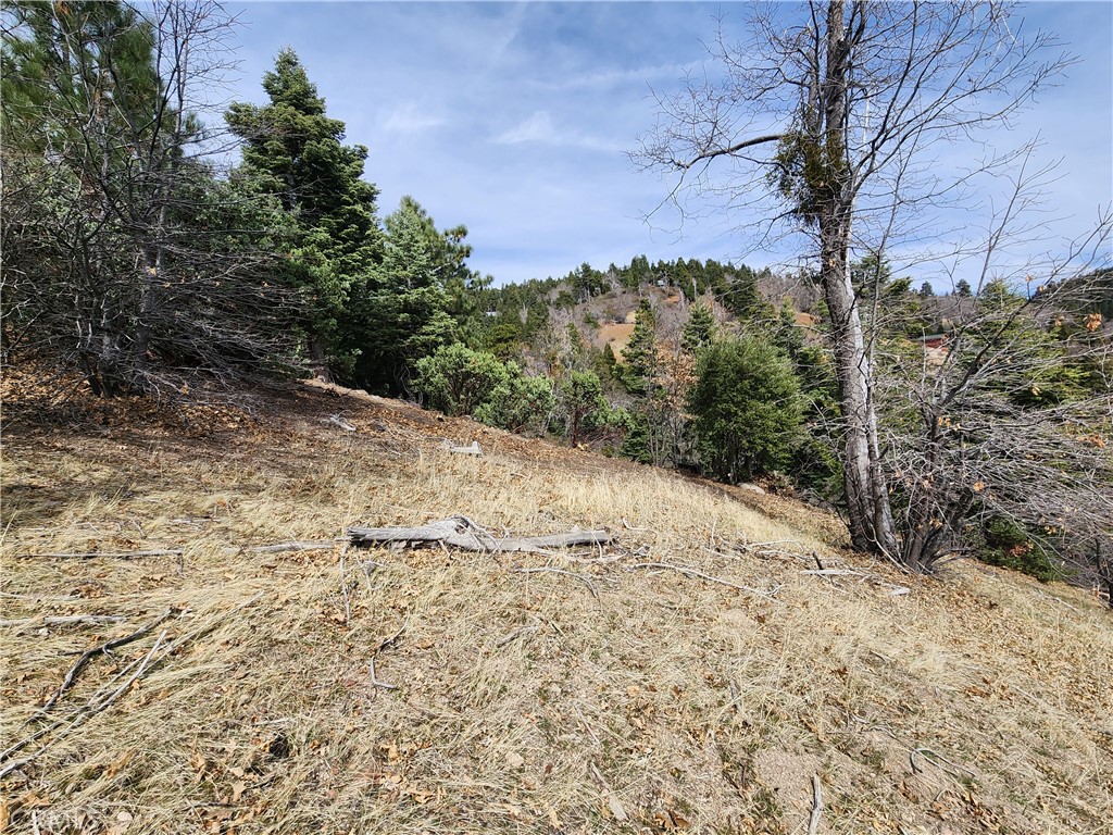 30914 Old City Creek Road Property Photo 13