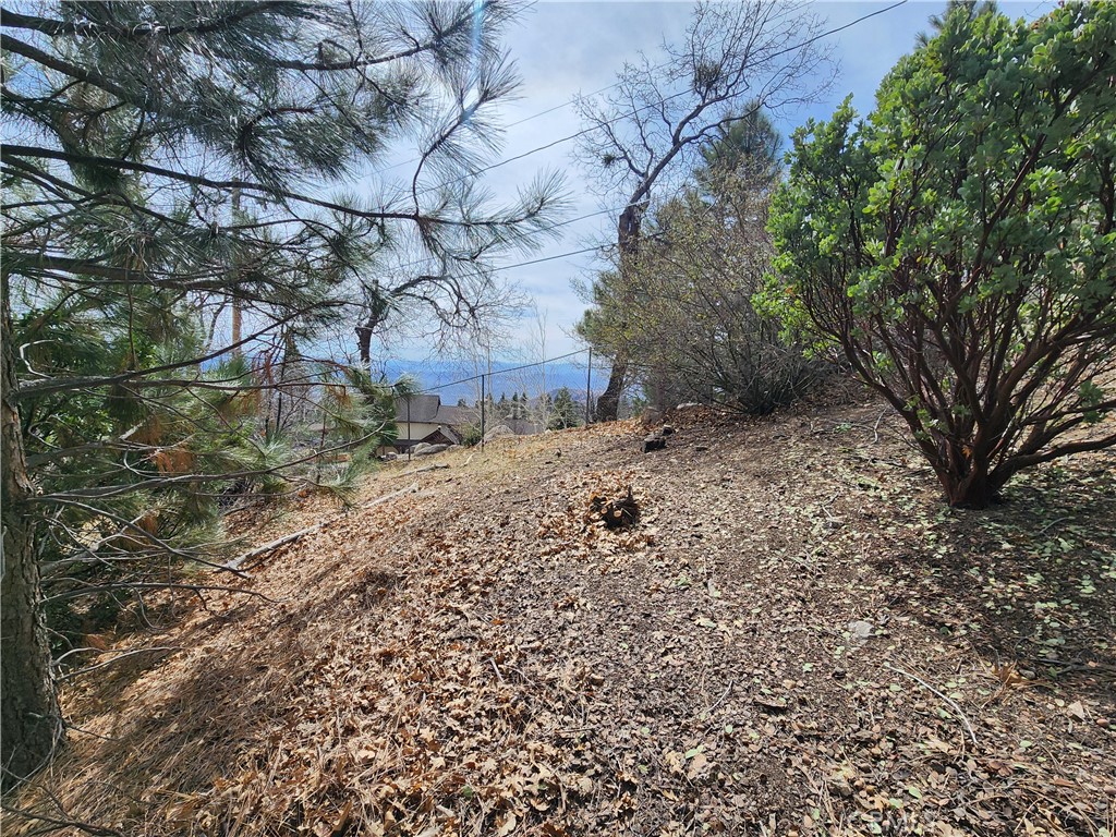 30914 Old City Creek Road Property Photo 15