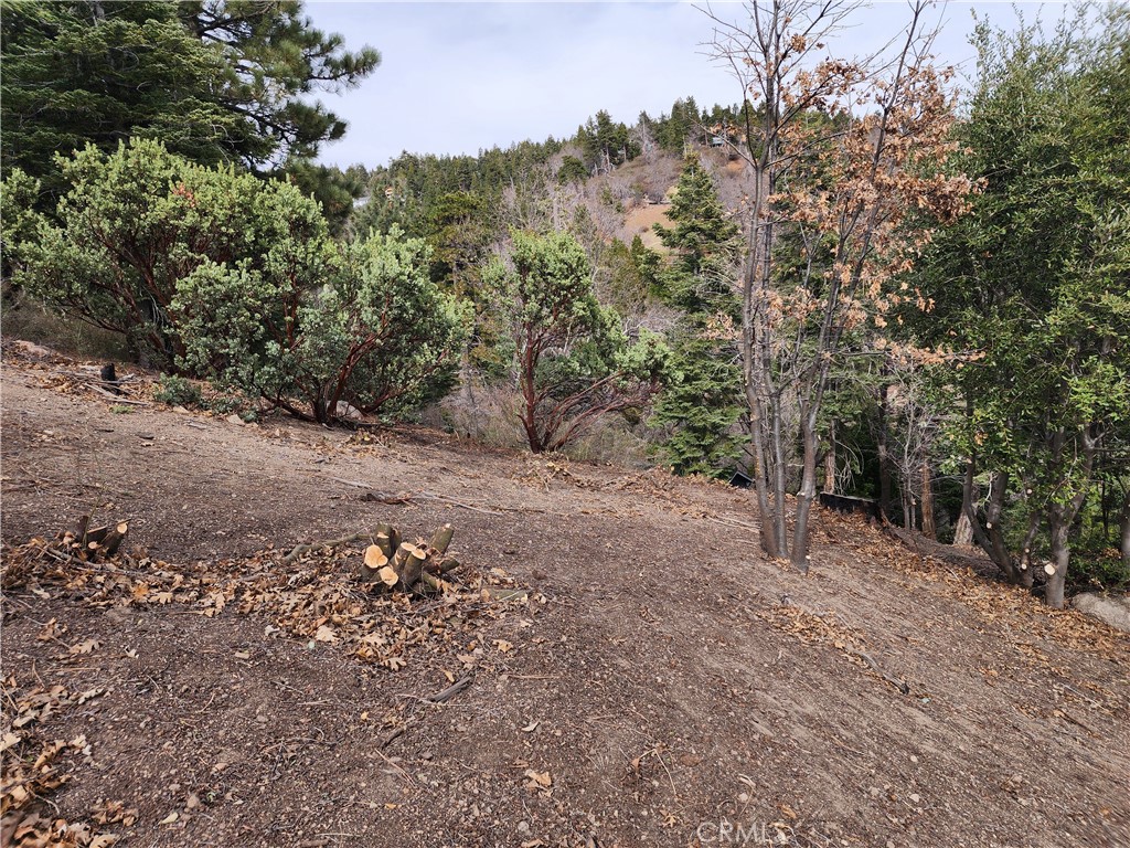 30914 Old City Creek Road Property Photo 26