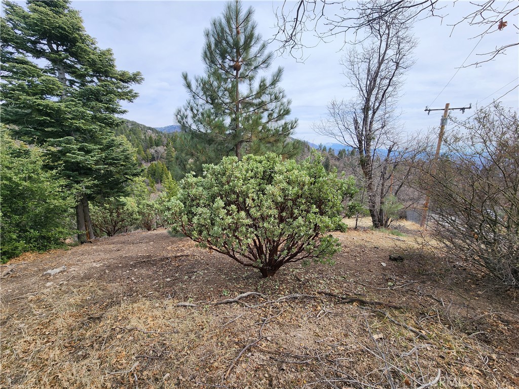 30914 Old City Creek Road Property Photo 28