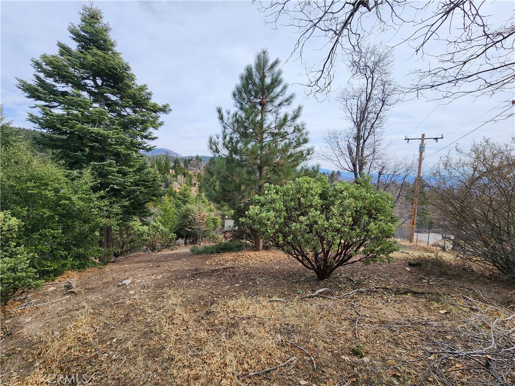 30914 Old City Creek Road Property Photo 29