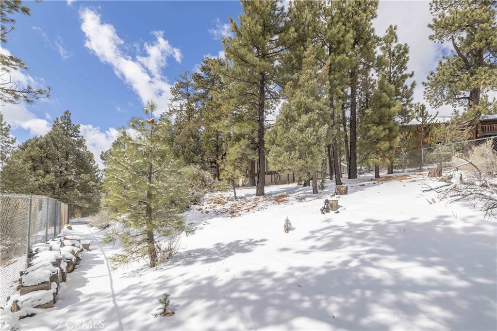 1006 White Mountain Drive Property Photo 36