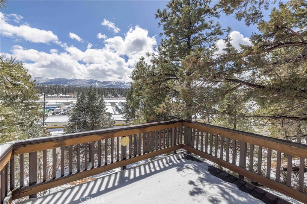 1006 White Mountain Drive Property Photo 39