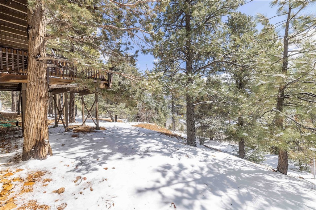 1006 White Mountain Drive Property Photo 43