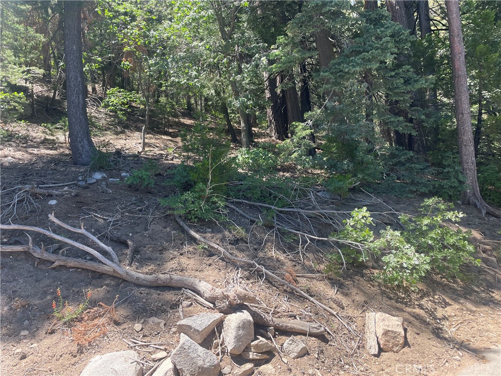 0 Strawberry Peak Road Property Photo