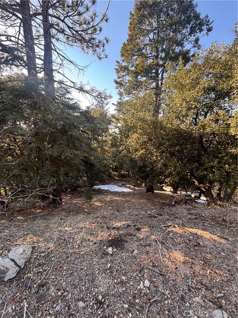 0 North Rd Property Photo 4