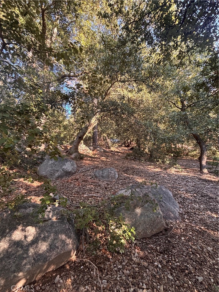 0 North Rd Property Photo 7