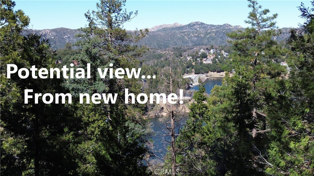 24200 Altdorf Drive Property Photo