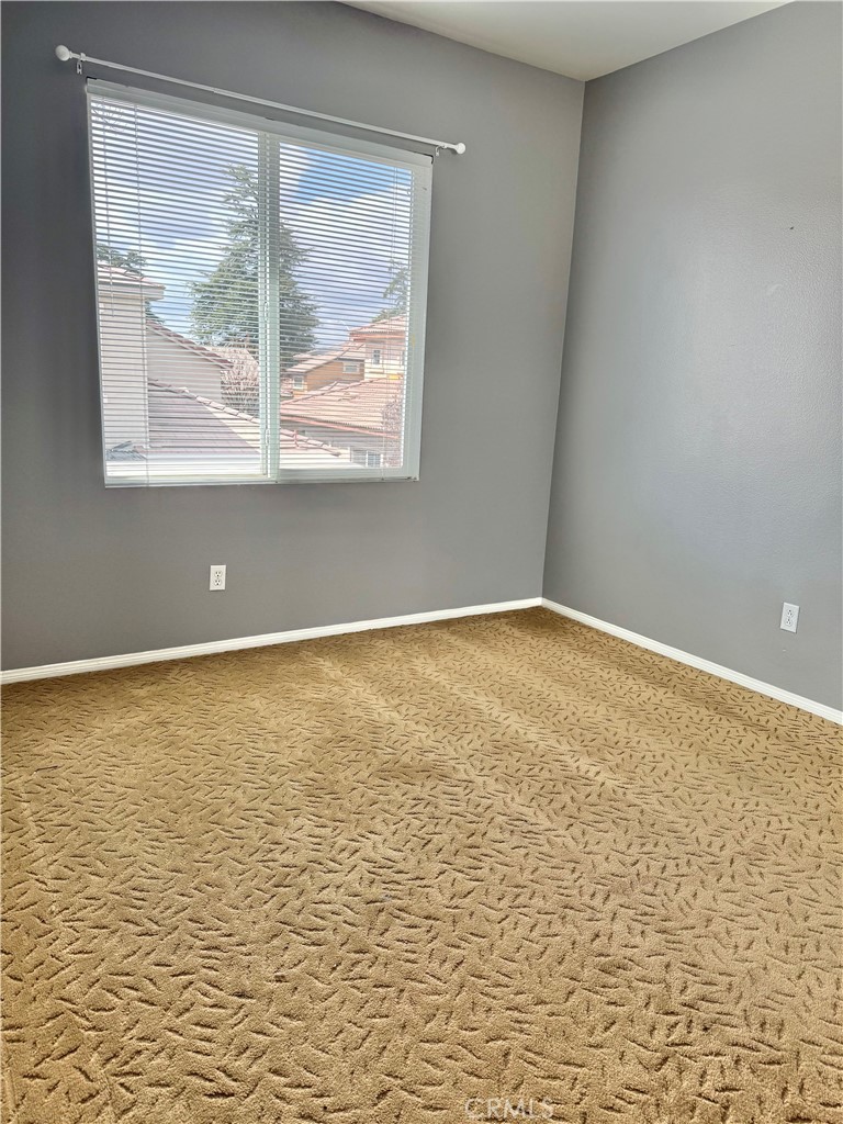 1539 Shadow Hill Trail Property Photo 21