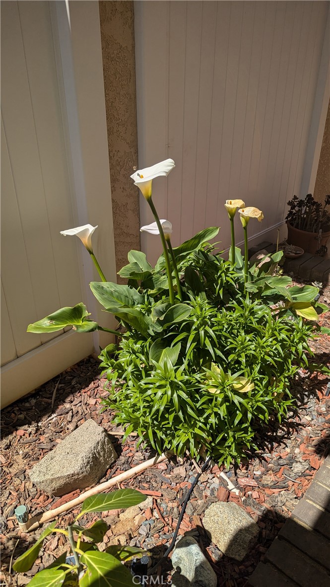 2968 Summer Set Circle Property Photo 43