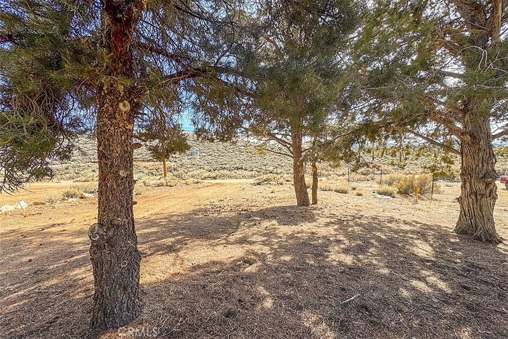 46262 Vale Drive Property Photo 25