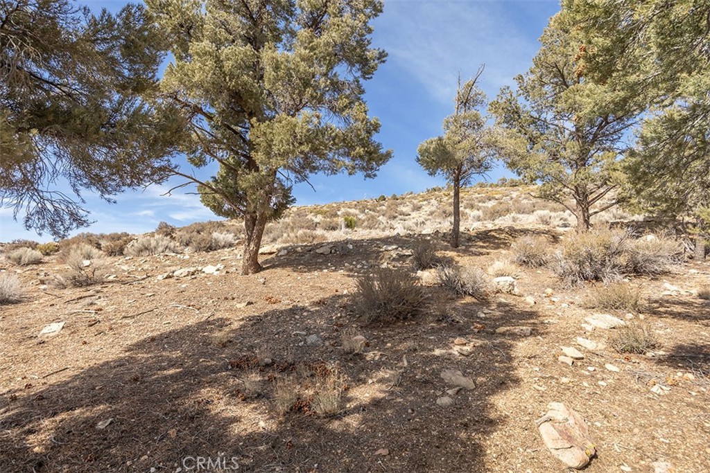 46262 Vale Drive Property Photo 26