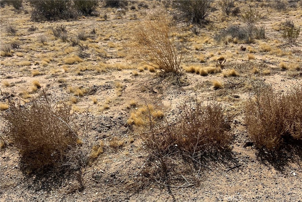 0 Highway 395 Property Photo 2