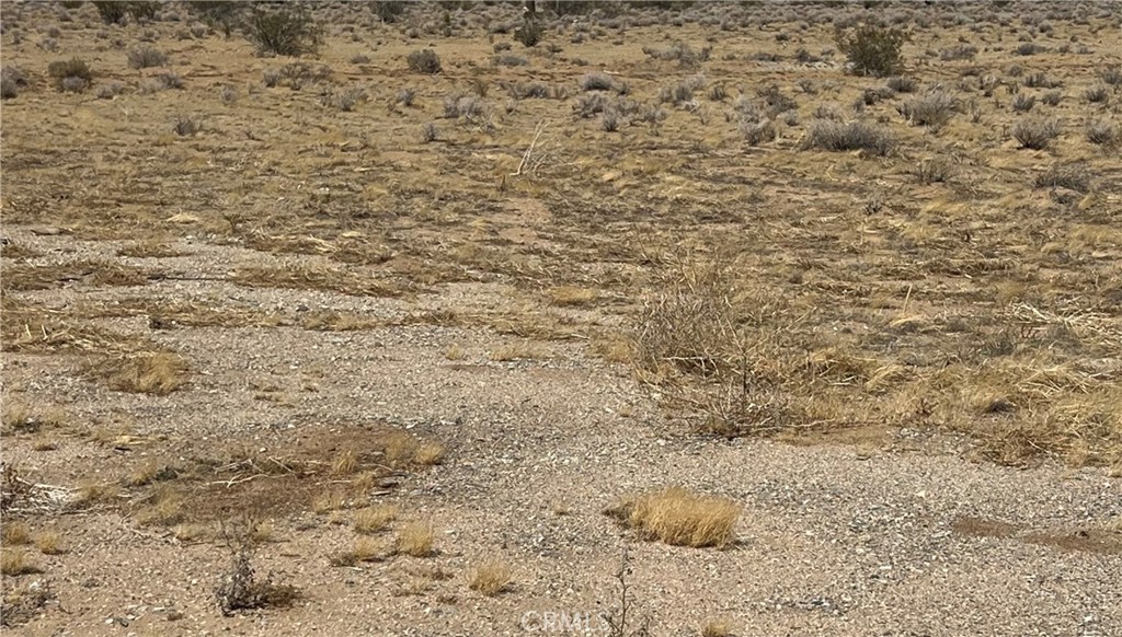 0 Highway 395 Property Photo 3