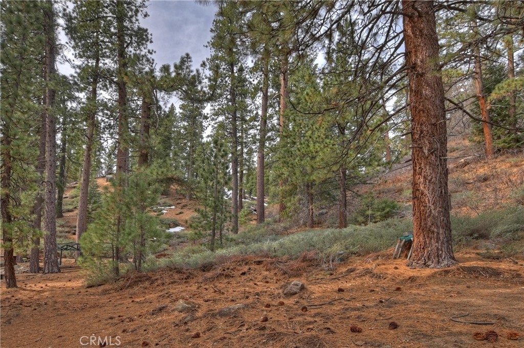 39128 North Shore Property Photo 71