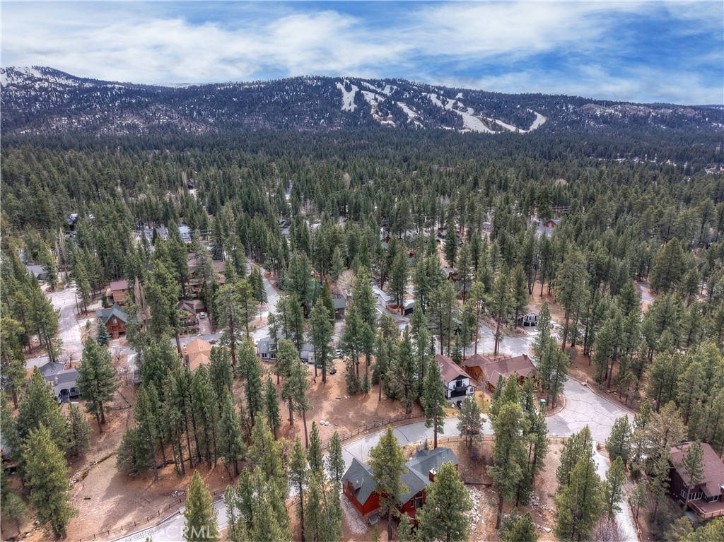 42569 Gold Rush Property Photo 6