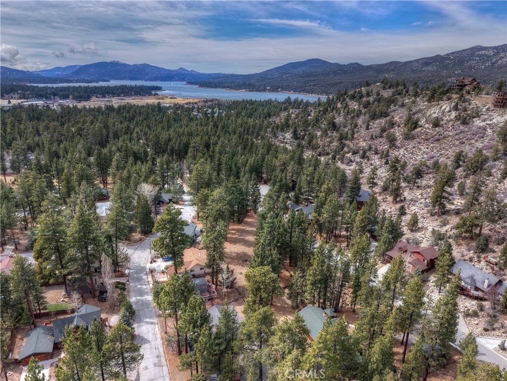 42569 Gold Rush Property Photo 8