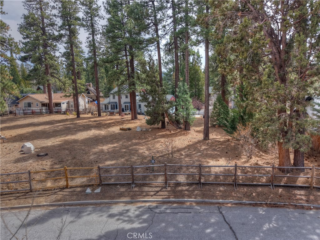 42569 Gold Rush Property Photo 12