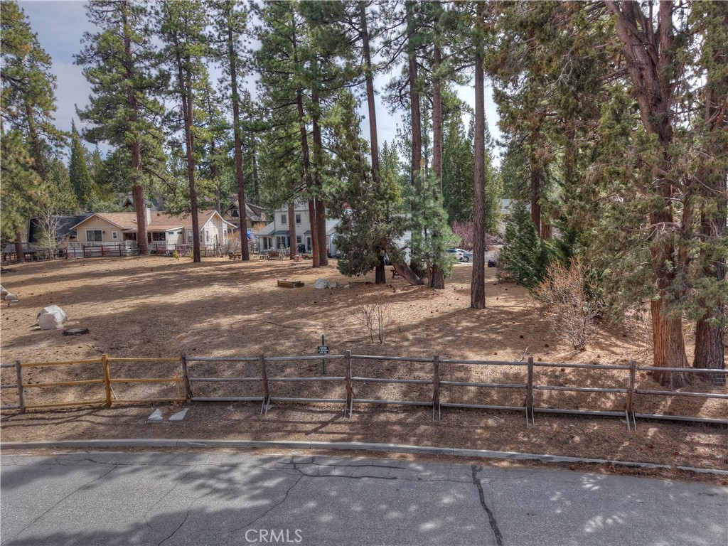 42569 Gold Rush Property Photo 13