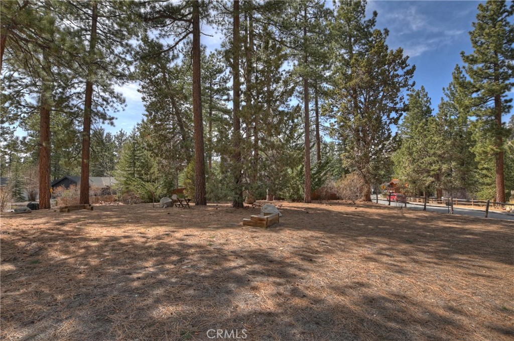 42569 Gold Rush Property Photo 14