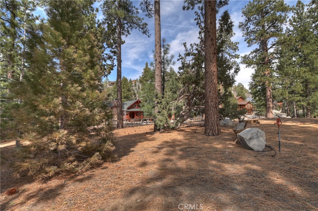 42569 Gold Rush Property Photo 16