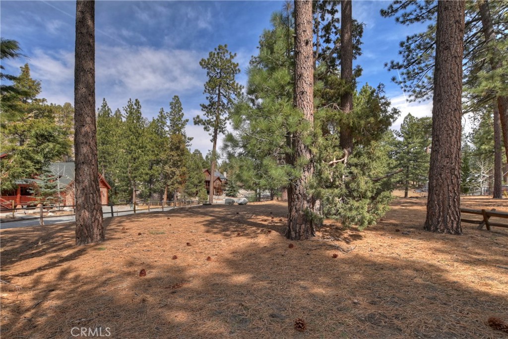42569 Gold Rush Property Photo 17