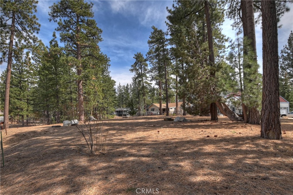 42569 Gold Rush Property Photo 18
