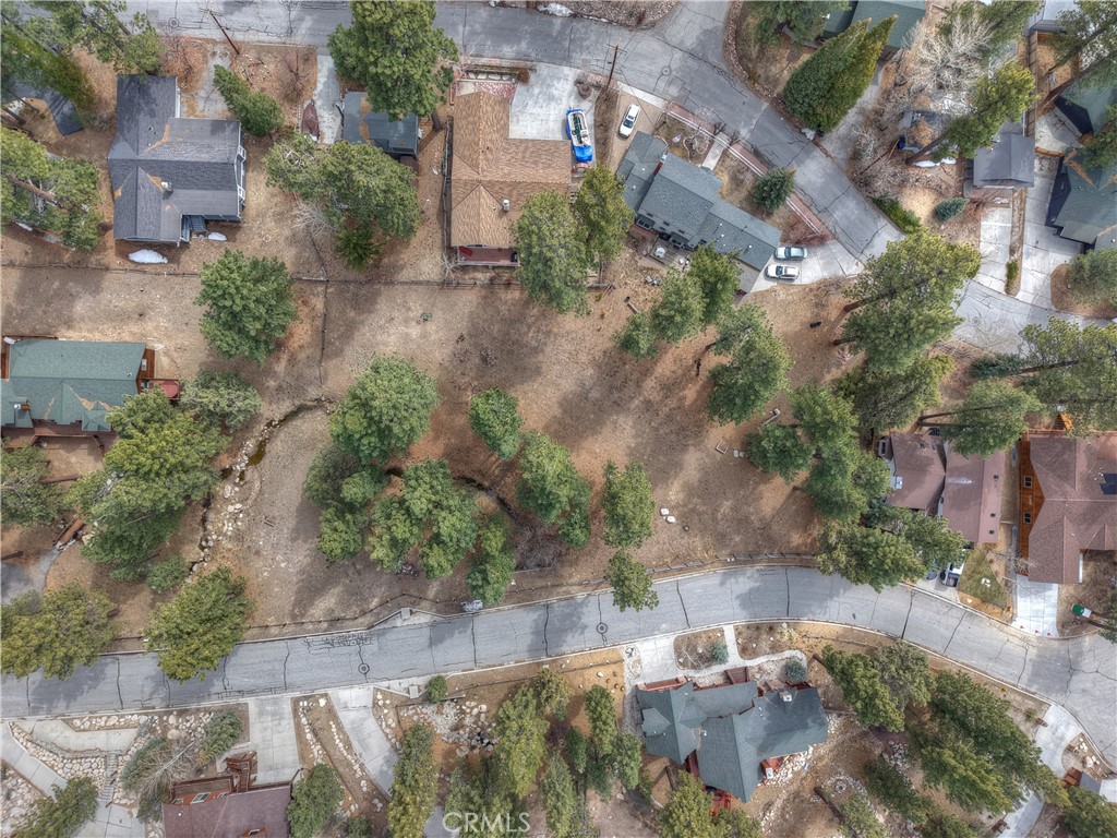 42543 Gold Rush Property Photo 3