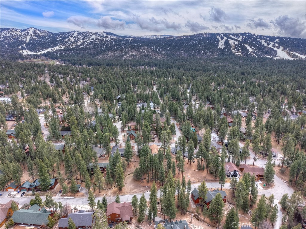 42543 Gold Rush Property Photo 4