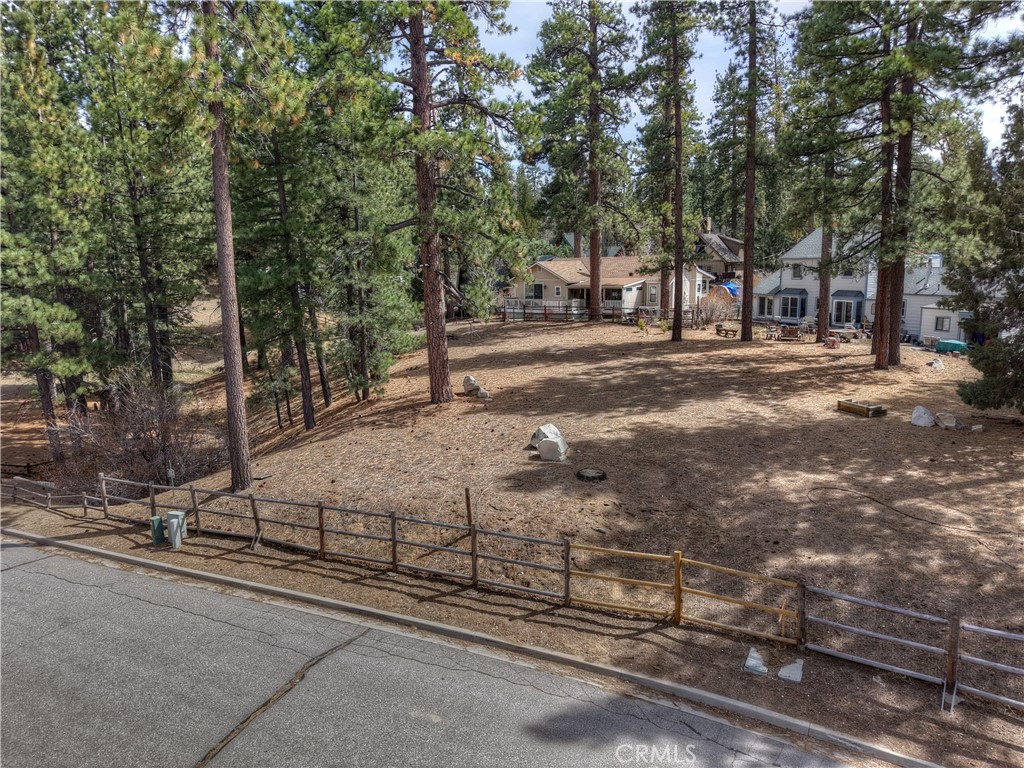 42543 Gold Rush Property Photo 11