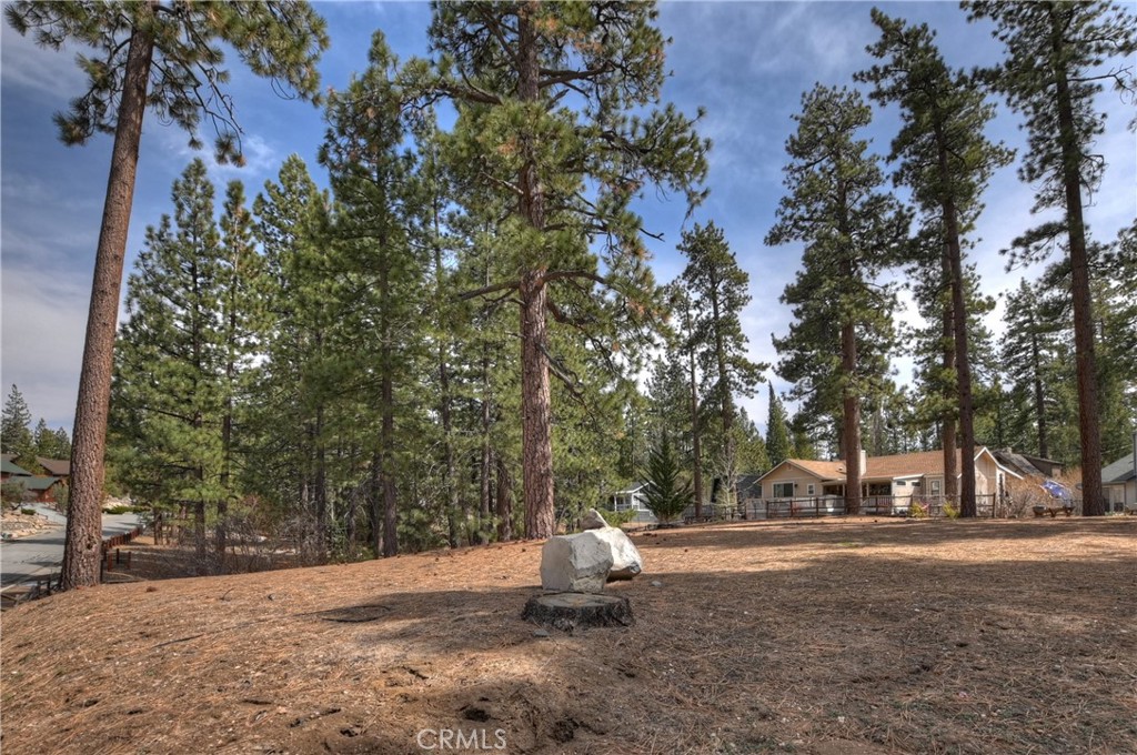42543 Gold Rush Property Photo 13