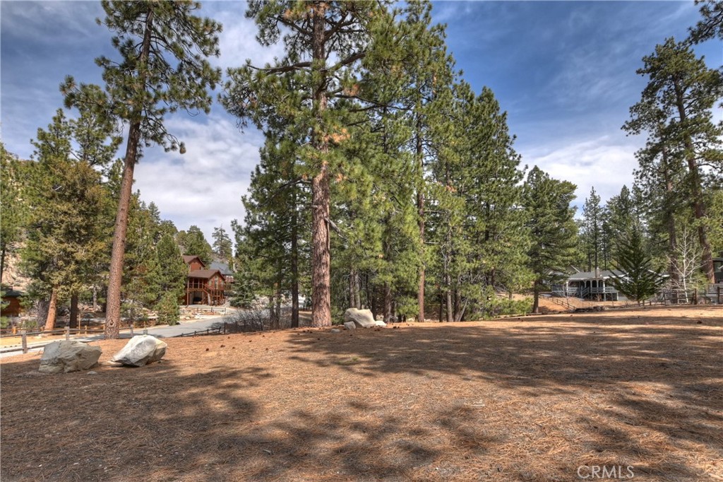 42543 Gold Rush Property Photo 14