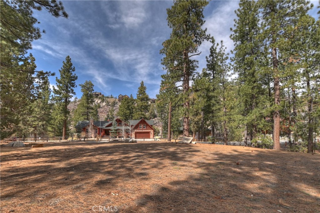 42543 Gold Rush Property Photo 15