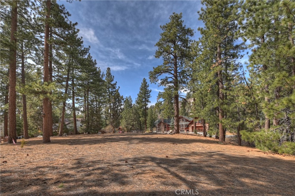 42543 Gold Rush Property Photo 16
