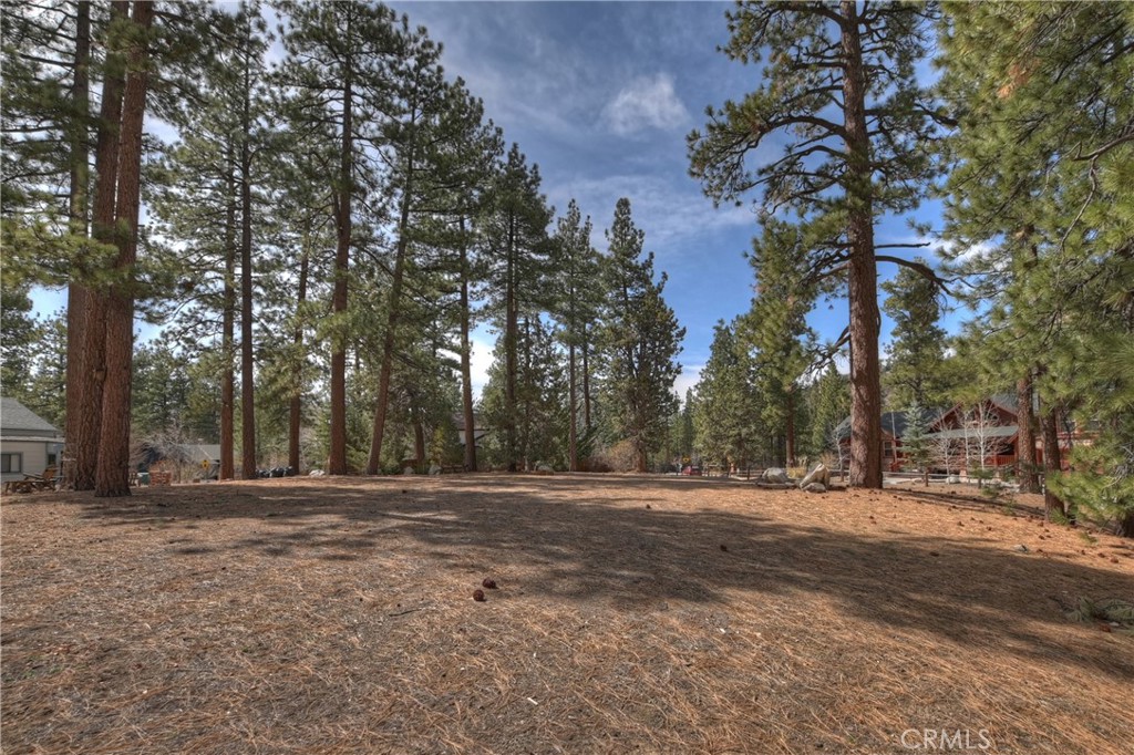 42543 Gold Rush Property Photo 17