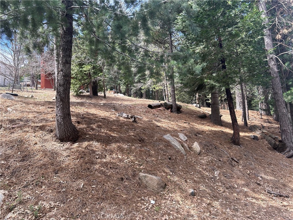 0 Mid Ln Property Photo