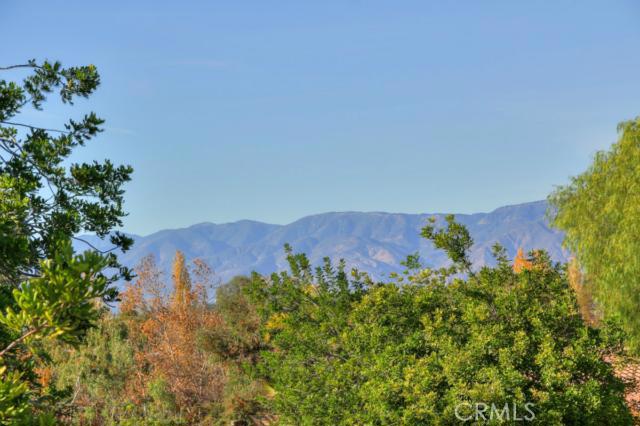454 Golden West Drive Property Photo 7