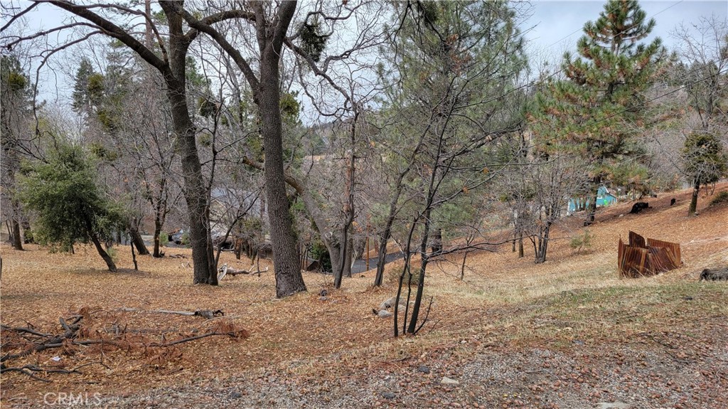 0 Winding Way Property Photo 3