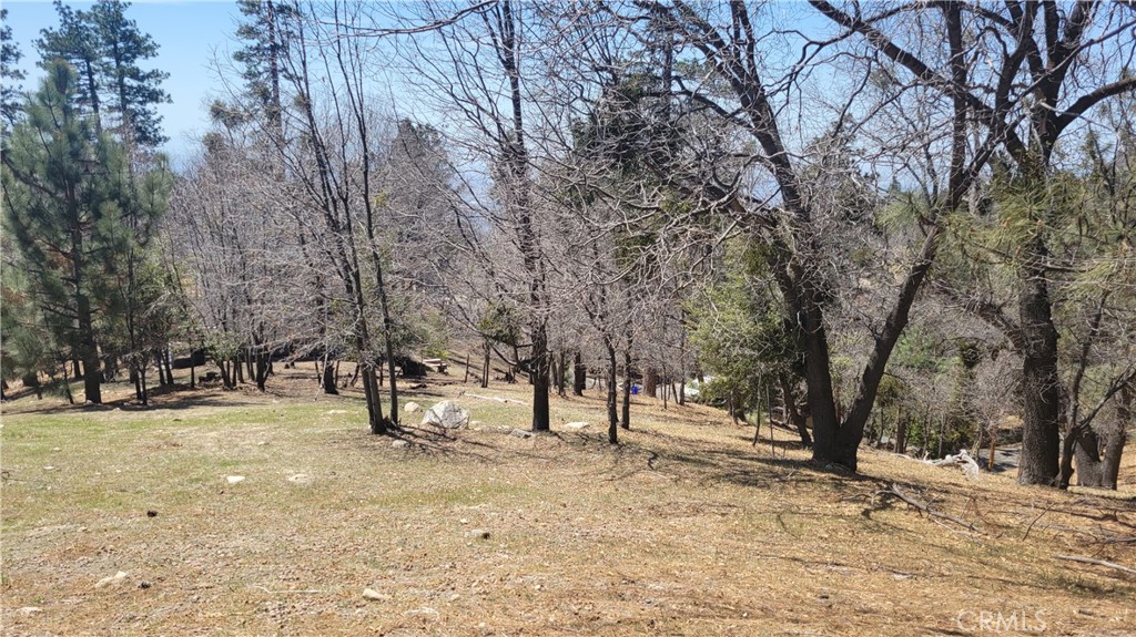 0 Winding Way Property Photo 4