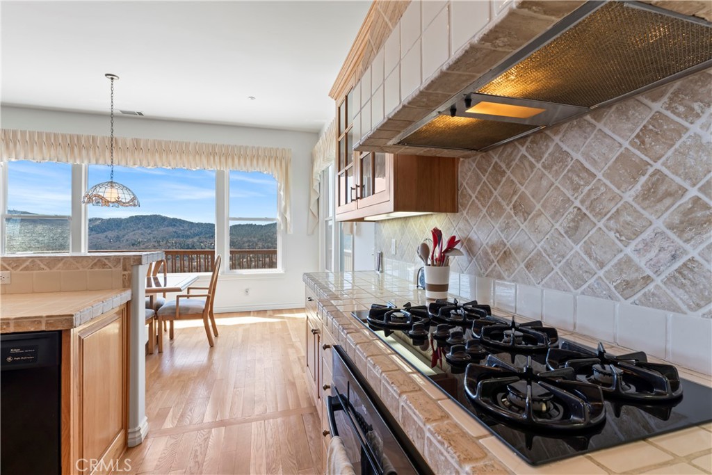 29083 Mammoth Drive Property Photo 45