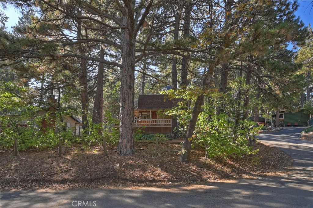 31867 Wagon Wheel Drive Property Photo 7