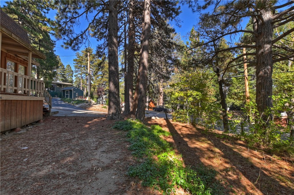 31867 Wagon Wheel Drive Property Photo 9