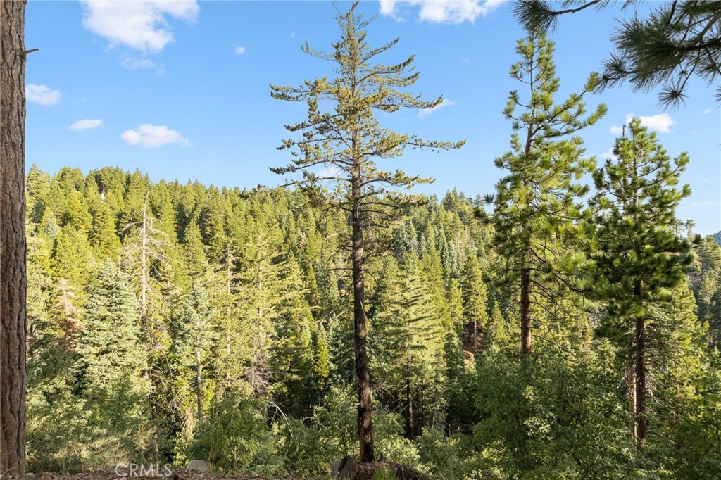 31721 Wagon Wheel Drive Property Photo