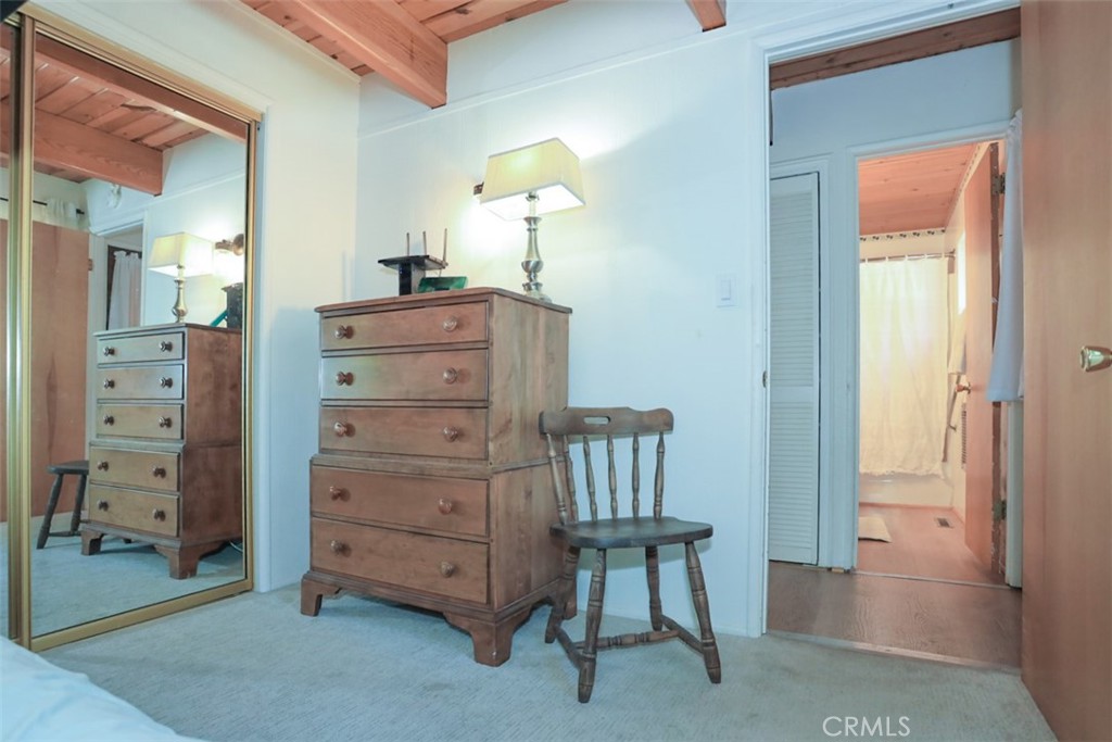 1019 Feather Mountain Drive Property Photo 56
