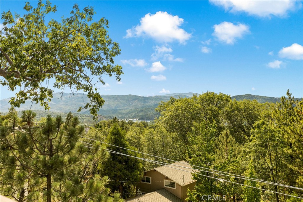 27684 St Bernard Lane Property Photo 55