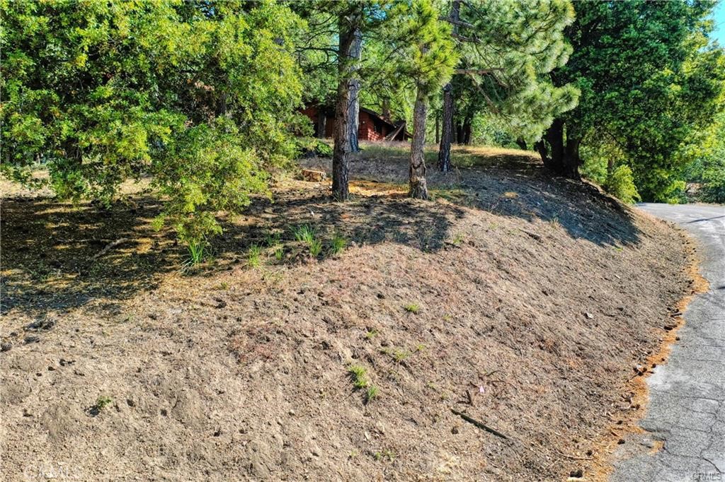 246 Lot Ferndale Dr Property Photo 10