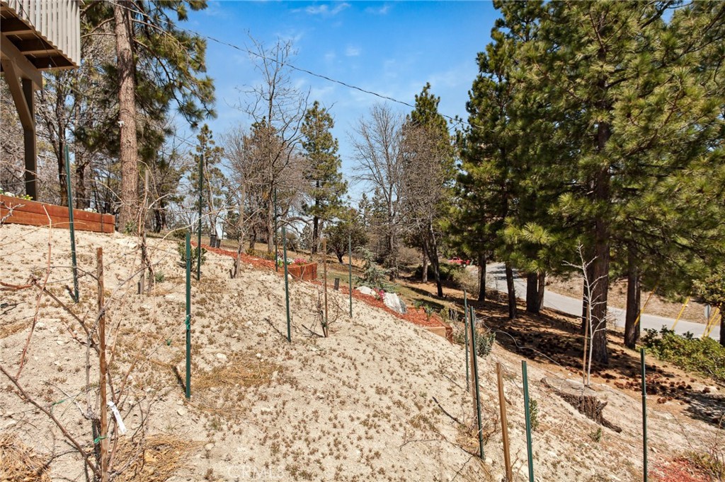27482 Matterhorn Drive Property Photo 51