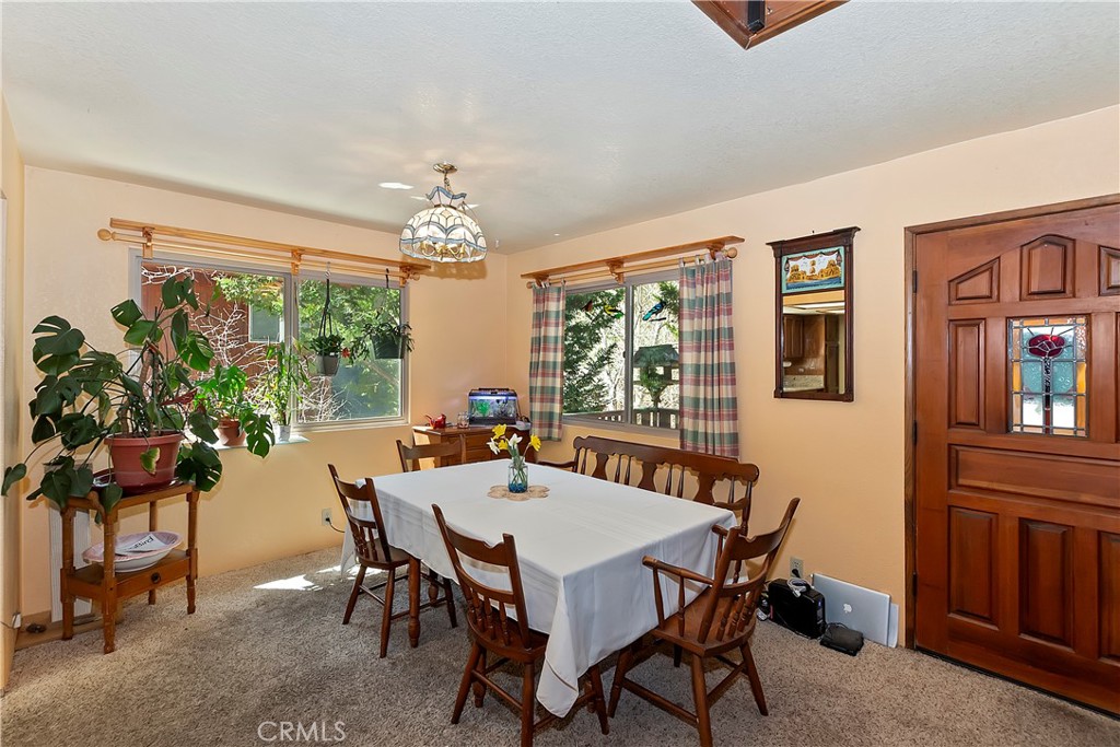 850 Alpenweg Drive Property Photo 11